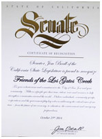 State Senate Commendation